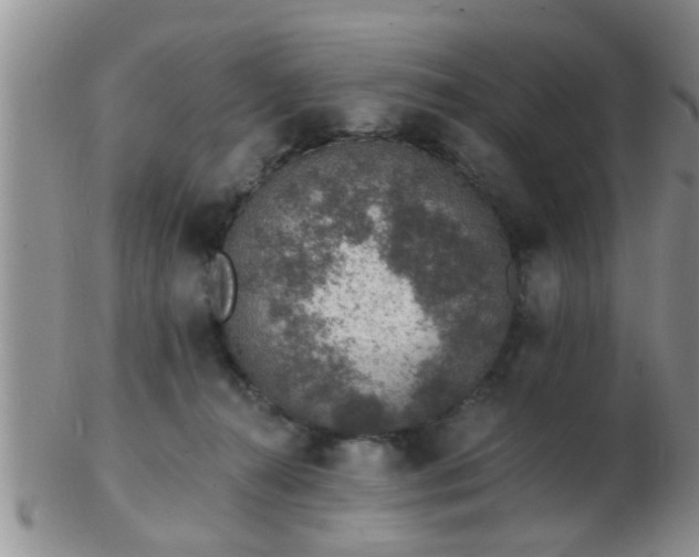 X0000103300272200809122036