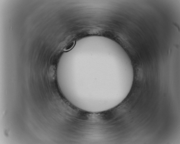 X0000103300273200809122036