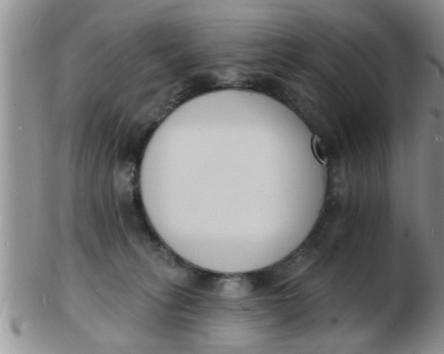 X0000103300275200809122036