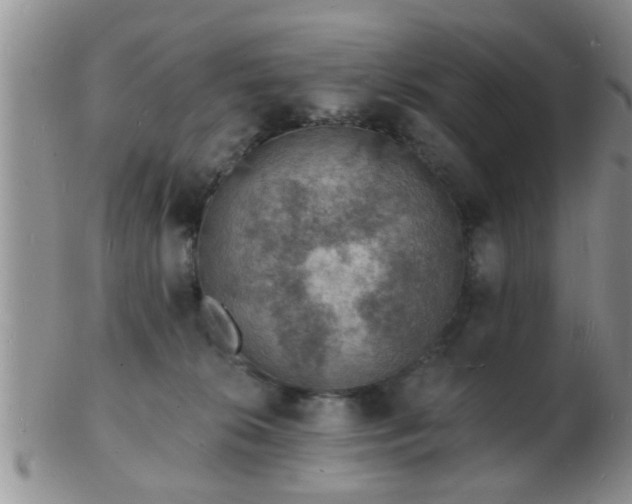 X0000103300276200809122036