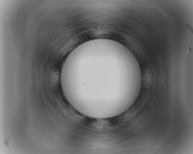 X0000103300278200809122036