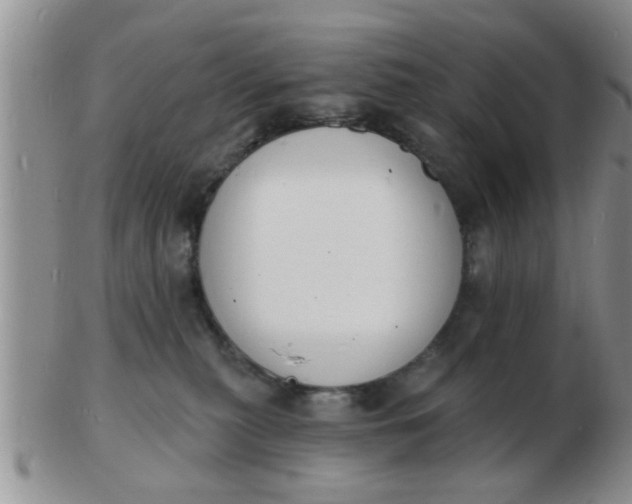 X0000103300279200809122036