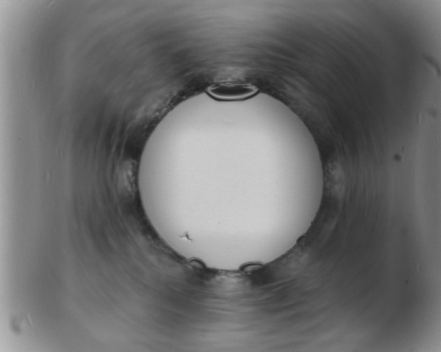 X0000103300280200809122036