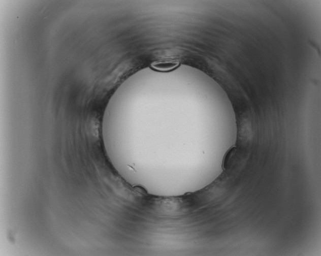 X0000103300282200809122036