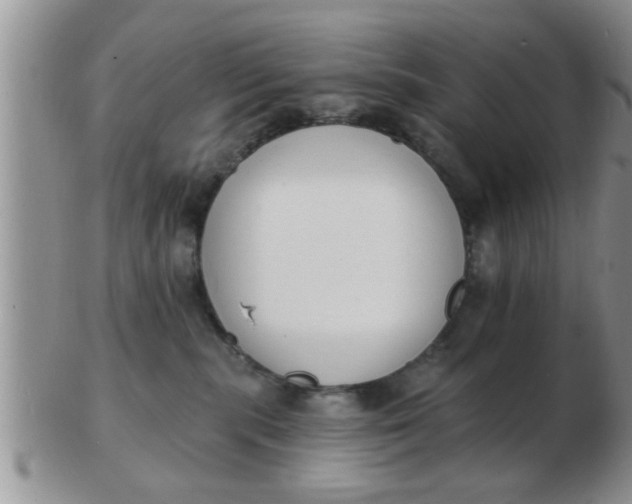 X0000103300283200809122036