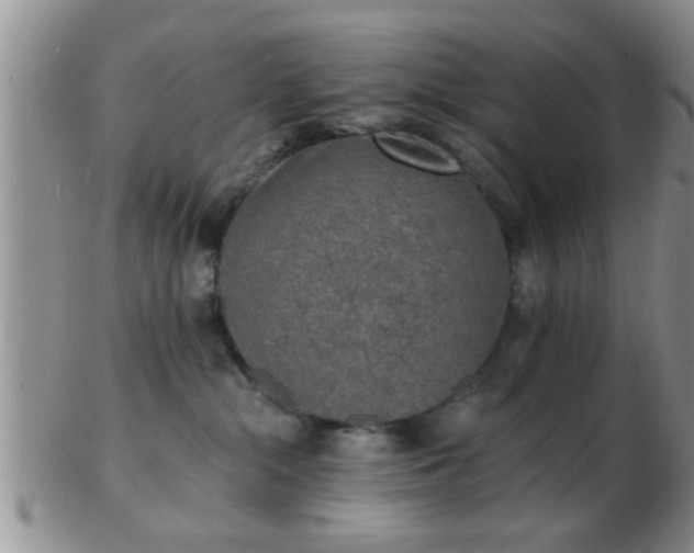 X0000103300284200809122036