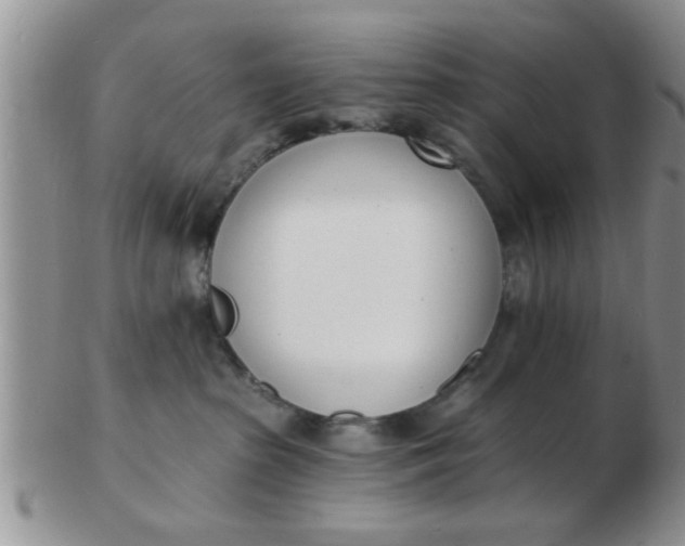 X0000103300285200809122036