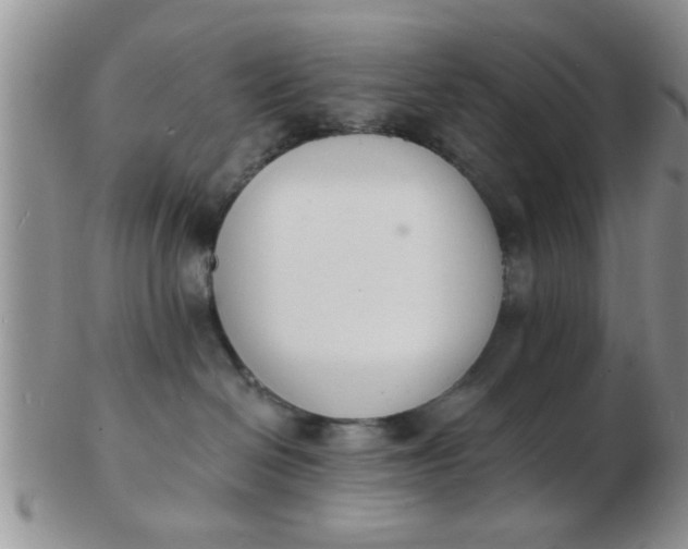 X0000103300286200809122036