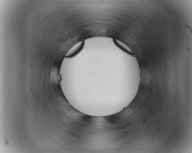 X0000103300287200809122036