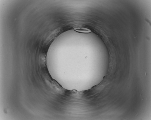 X0000103300288200809122036