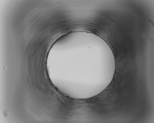 X0000103300289200809122036