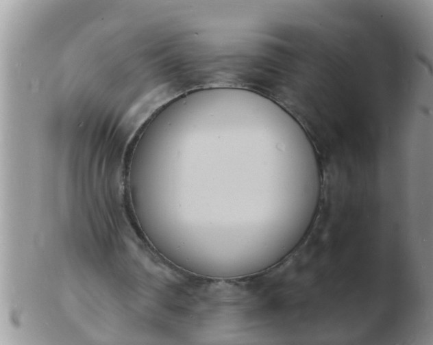 X0000103300290200809122036