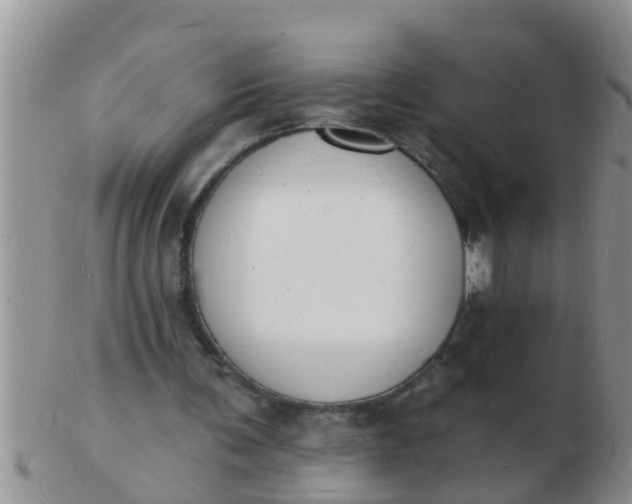 X0000103300291200809122036