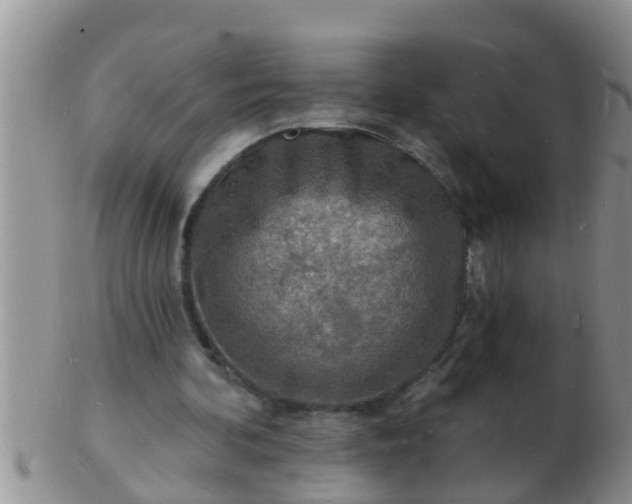 X0000103300292200809122036