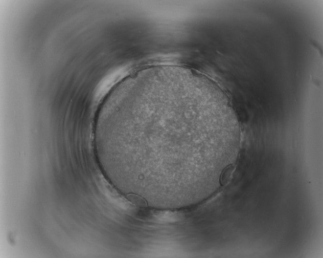 X0000103300293200809122036