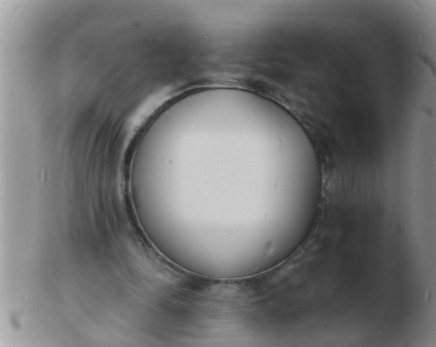 X0000103300294200809122035