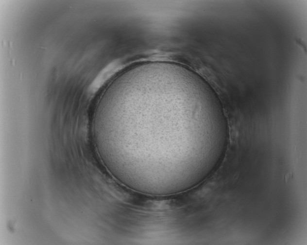 X0000103300295200809122035