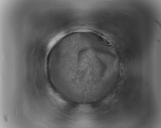 X0000103300296200809122035