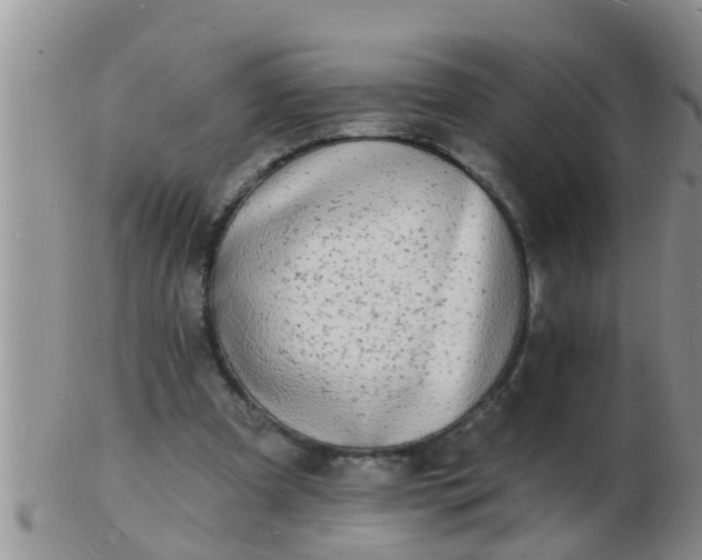 X0000103300297200809122035