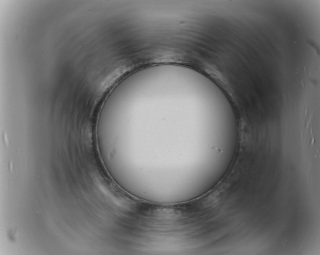 X0000103300298200809122035