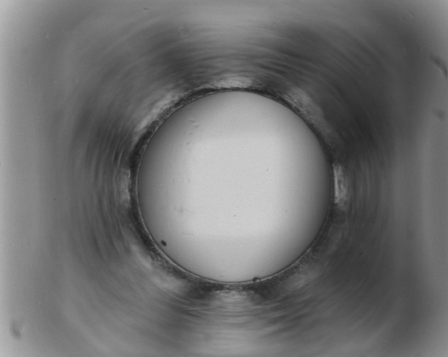 X0000103300300200809122035