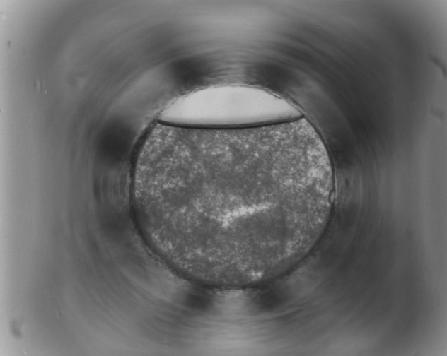 X0000103300301200809122035