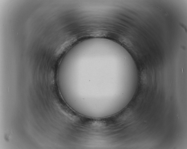 X0000103300303200809122035