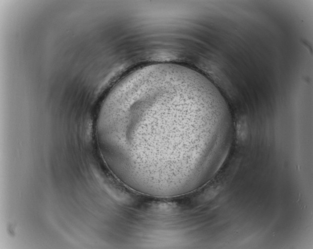 X0000103300304200809122035