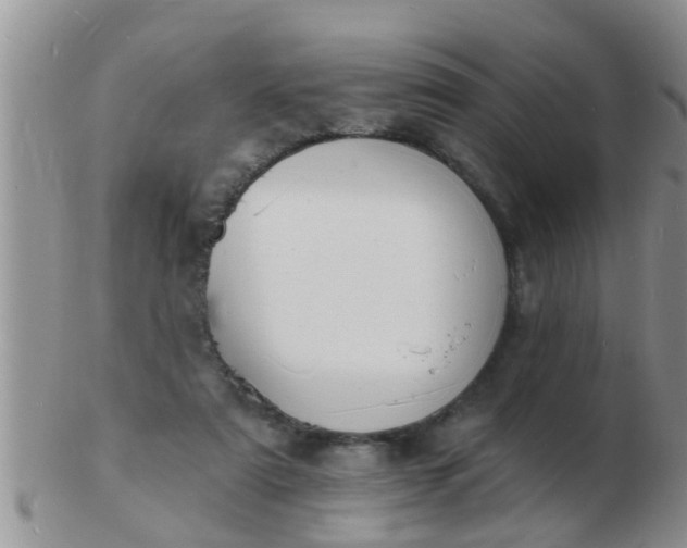 X0000103300307200809122035