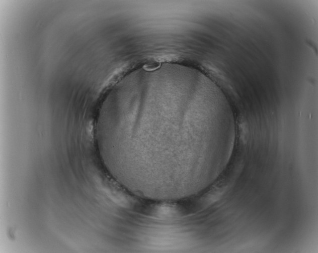 X0000103300308200809122035