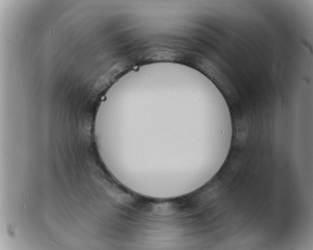 X0000103300309200809122035