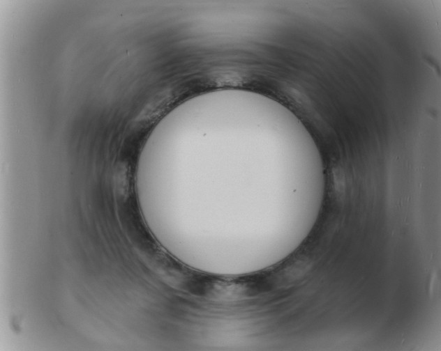 X0000103300311200809122035