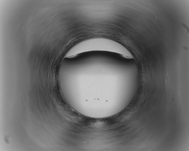 X0000103300312200809122035