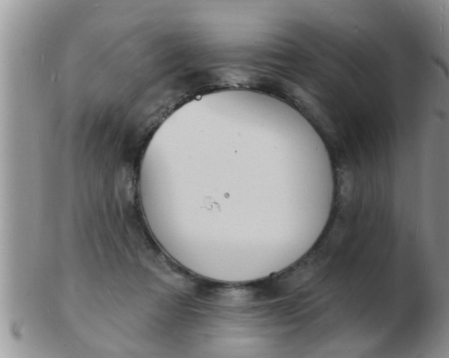 X0000103300313200809122035