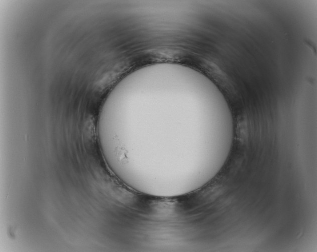 X0000103300318200809122035