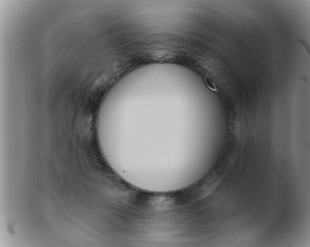 X0000103300319200809122035