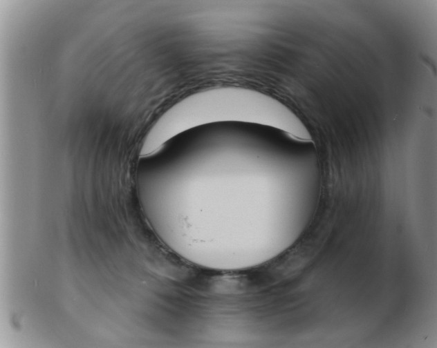 X0000103300320200809122035