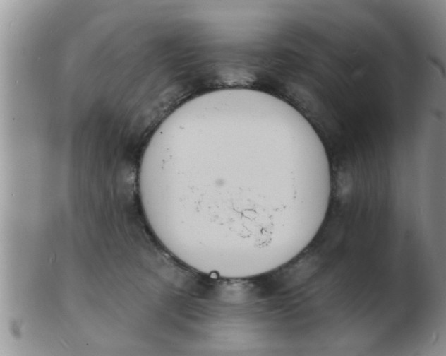 X0000103300321200809122035