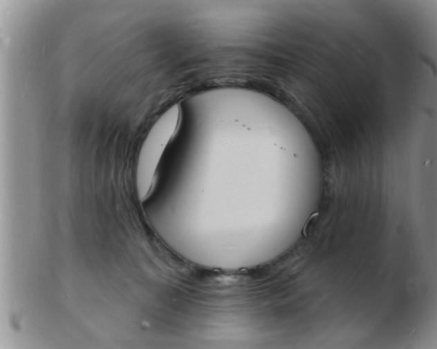 X0000103300323200809122035