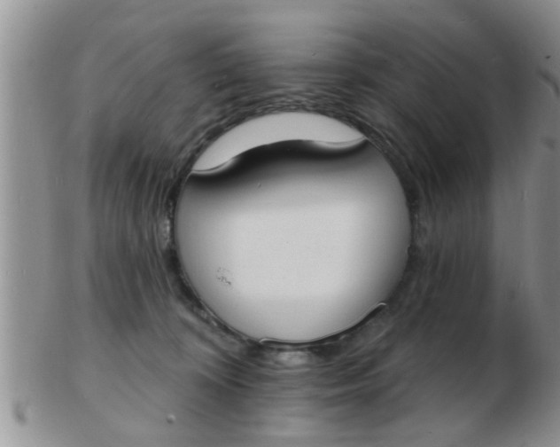 X0000103300324200809122035