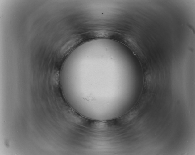 X0000103300325200809122035