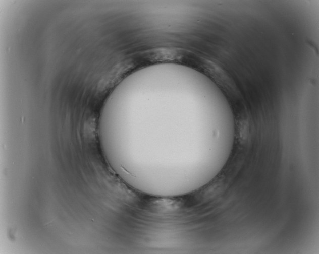 X0000103300326200809122035