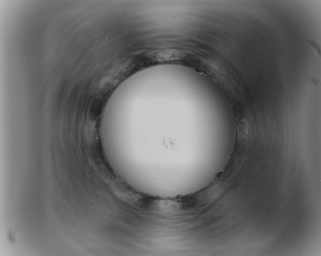 X0000103300327200809122035