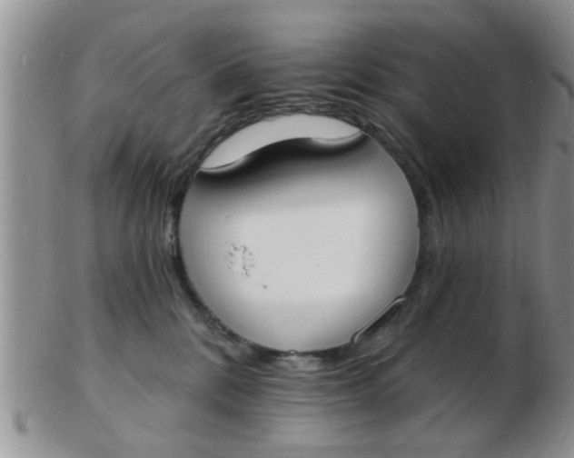 X0000103300328200809122035