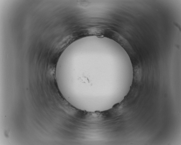 X0000103300329200809122035