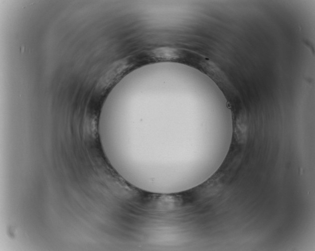 X0000103300330200809122035