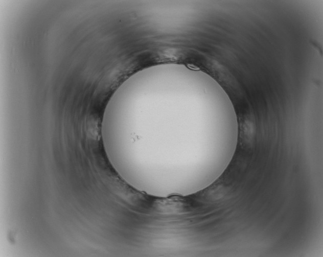 X0000103300331200809122035