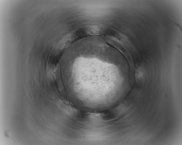 X0000103300332200809122035