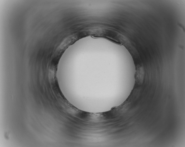 X0000103300333200809122035