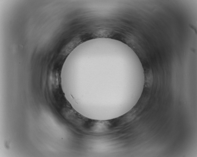 X0000103300334200809122035